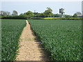 Footpath to Hubbards Hill Road