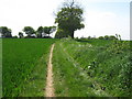 Byway from Waterditch Farm