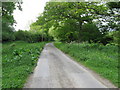 Rookcross Lane between Rookcross Farm and Rooklands Farm