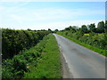 Minor Road Towards Driffield