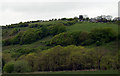 Penllwyn Uchaf from above footbridge