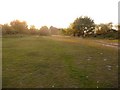 West Howe: clearing on Turbary Common