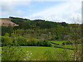 Dyffryn Gwy / Wye Valley