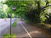 TQ6140 : Bus Stop, Pavement  & Cycle Lane, Pembury Rd by N Chadwick
