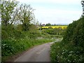 Lane near Holbrook Bridge