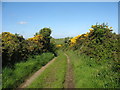 Track between Capel Saron and the Hafod Onnen Crossroads