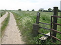 Footpath junction at end of Darns Hill road