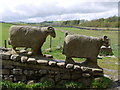 NY9027 : Sheep sculpture near Low Force by Andrew Curtis