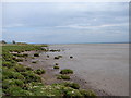 NY2464 : Solway Firth near Butterdales by Chris Newman