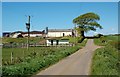 Towards Low Wardneuk