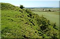 Barnweil Motte Site