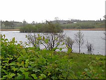 H3809 : Northern end of Lough Inchin by Oliver Dixon