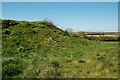 Tarbolton Motte From The Bailey