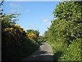 Bend in the road near Llain Delyn Cottage