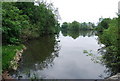 Somerhill Lake