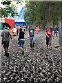 Festival mud