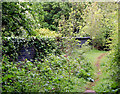 Bridleway crosses old railway bridge, Stockton