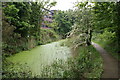 Alderman canal local nature reserve