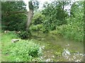 River Deben