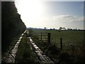 South from Intake Lane