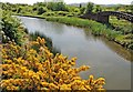 Dudley No 2 Canal