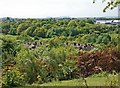 Lodge Farm Estate, Netherton