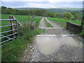 Puddle by the grid