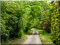 Church Lane, Playford