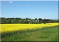 Farmland near Hanchurch