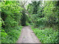 Looking S along old Roman road.