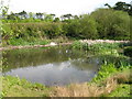 View of Buttsole pond, Eastry