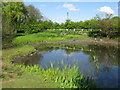 Buttsole pond on Lower Street, Eastry