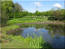 TR3054 : Buttsole pond on Lower Street, Eastry by Nick Smith