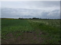 Bridleway off North Moor Road