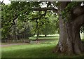 Cattle grid, Dillington Park