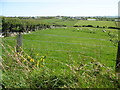 Farmland east of the Four Crosses road