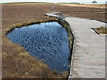 NS8868 : Pond: Blawhorn by Jim Smillie