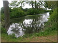 Pond near Billings Hill Farm