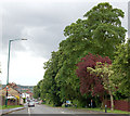 Coventry Road, Southam