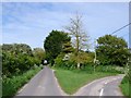 Road Junction west of Winfrith Newburgh