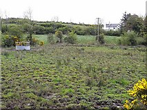 H0804 : Marshy field at Knockroosk by Oliver Dixon