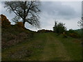 Quarry track at Graig Lelo