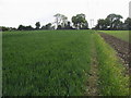 Footpath to Hares Leap