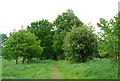 Footpath heading to Hilden Farm