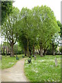 Putney Old Burial Ground