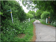 TQ7646 : Footpath on Allingham Farm Lane by David Anstiss
