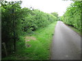 Footpath on Grave Lane