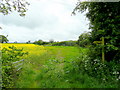 Footpath east from Llancloudy