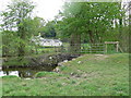 Footbridge over the River Clwyd near Felin Meiarth