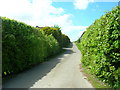 Track to Field House Farm